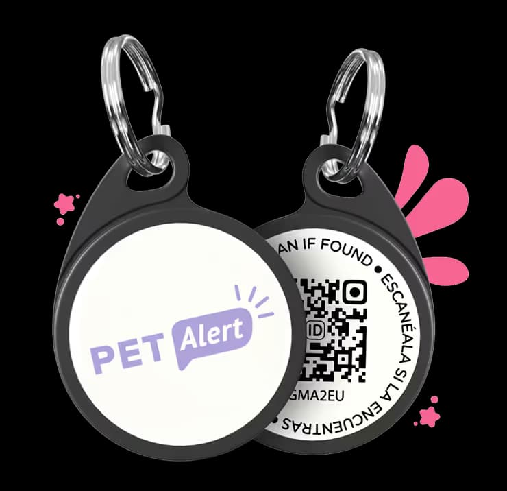 Médaillon QR Pet Alert ID recto verso