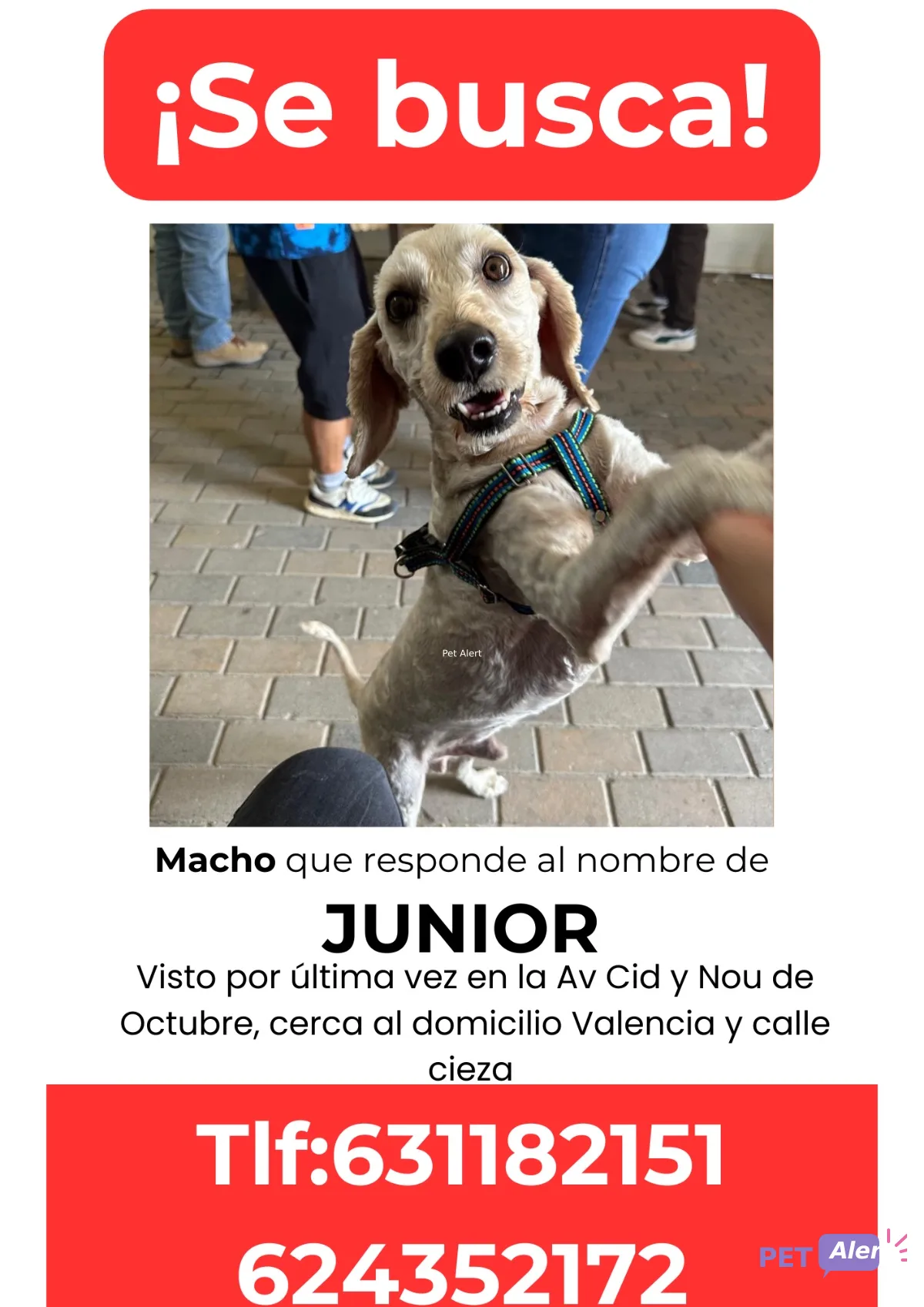 Alerta Junior