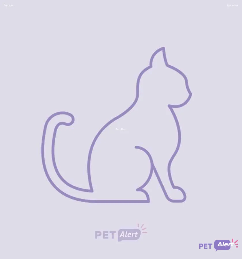 Alerte Pet Alert