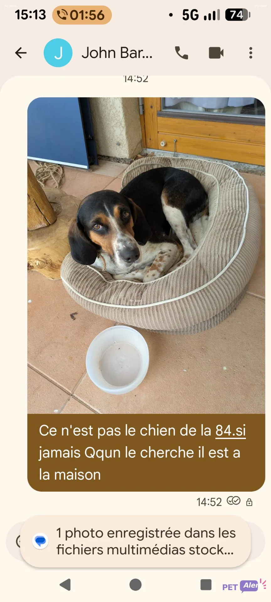 Alerte animale