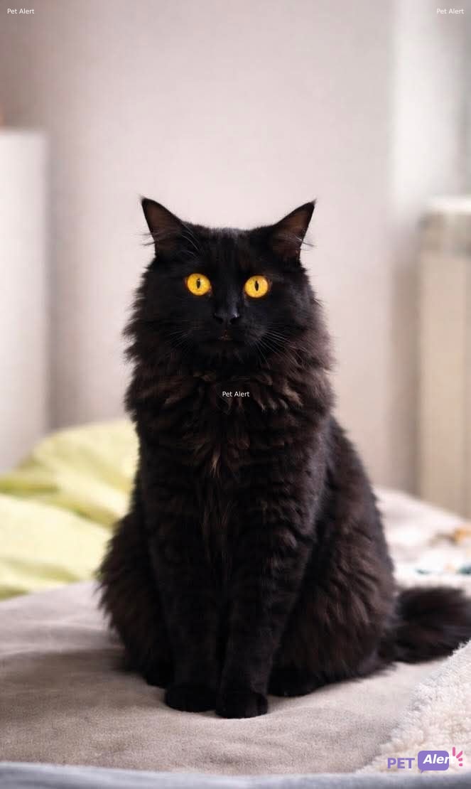 Foto de Nombre desconocido