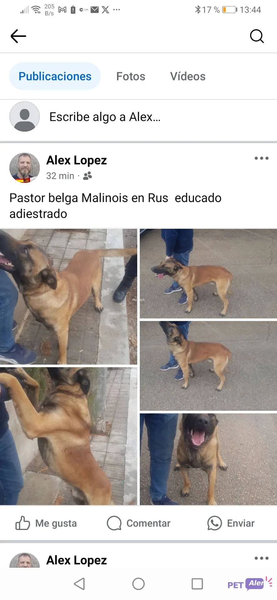 Alerta animal