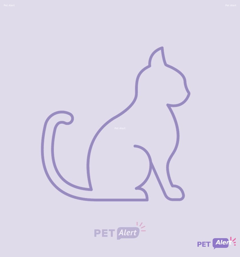 Photo de Animal aperçu