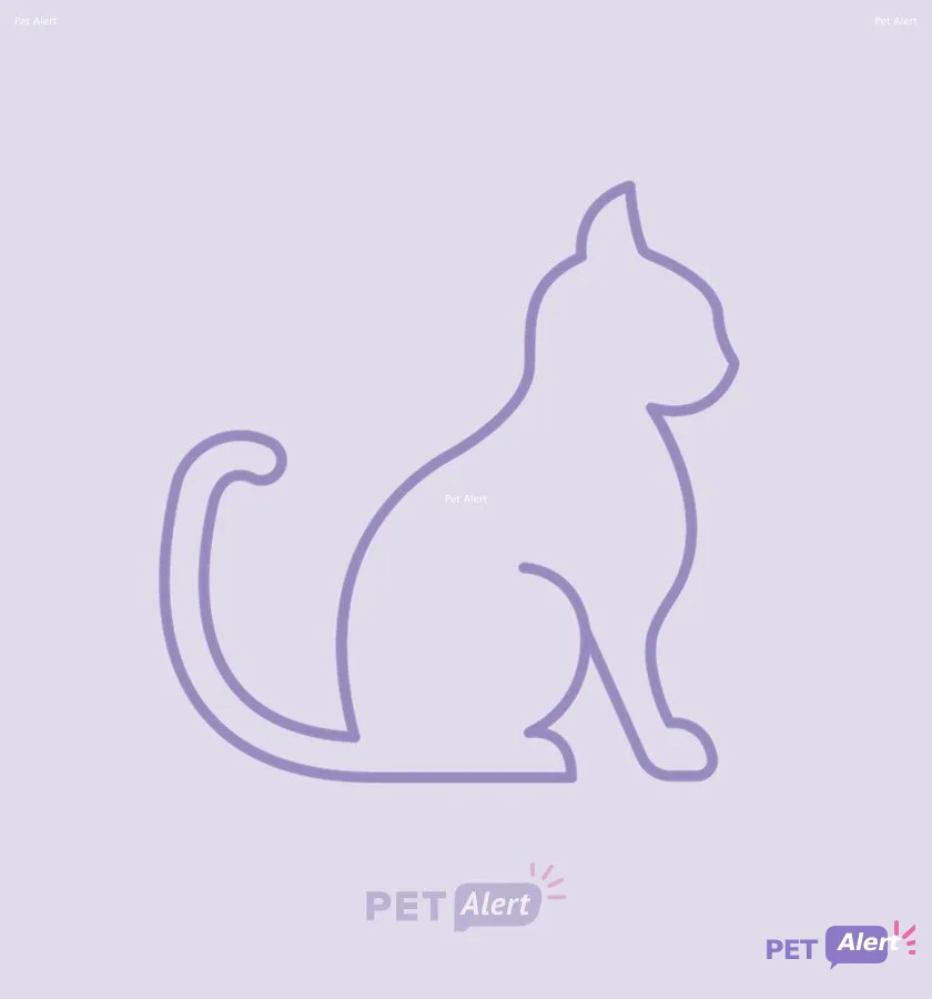 Alerte Pet Alert