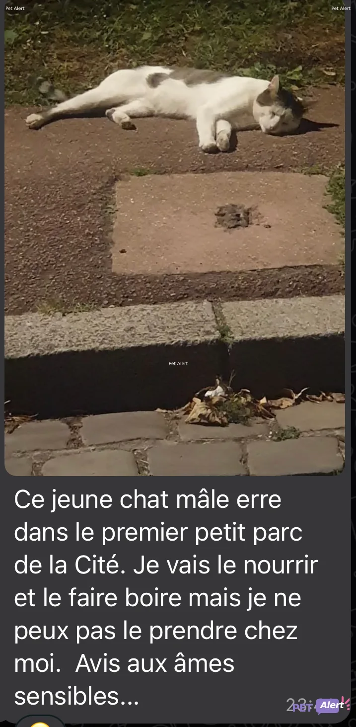 Alerte Pet Alert
