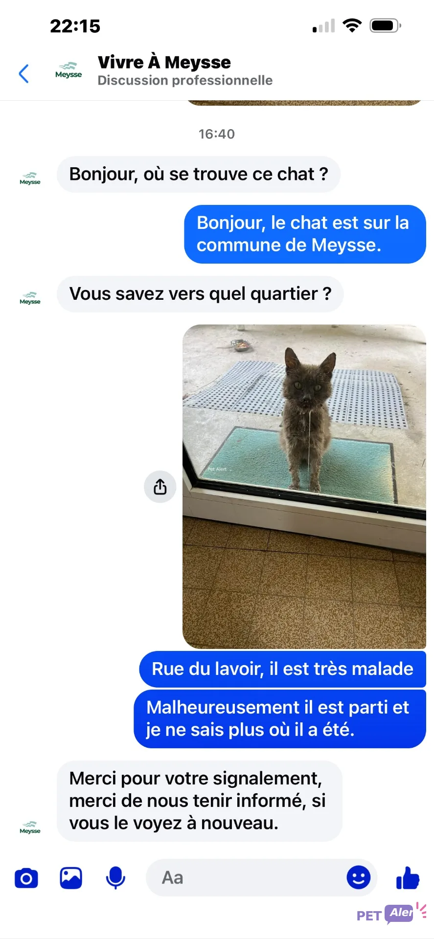 Alerte animale