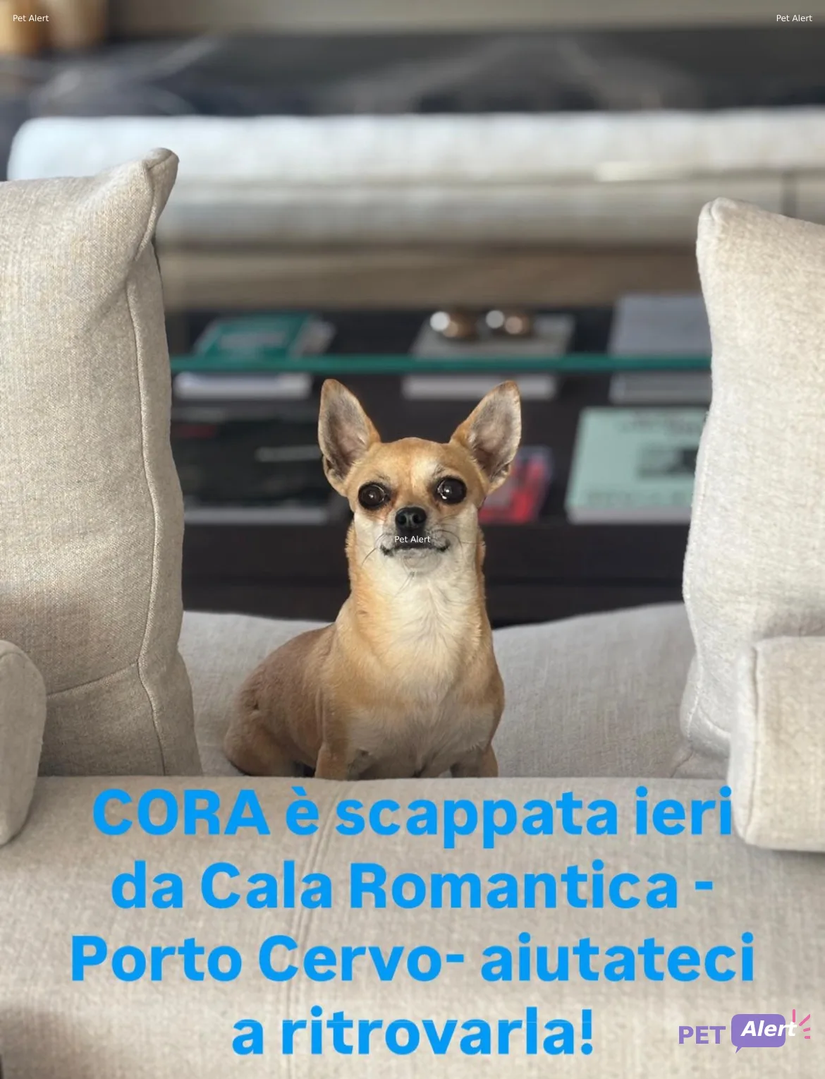 Cora