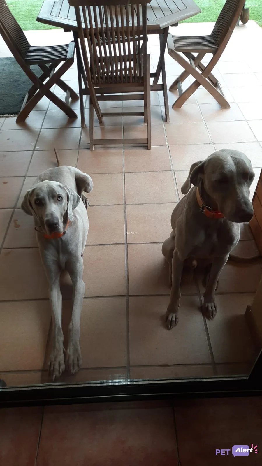 Golfo y Ragnar