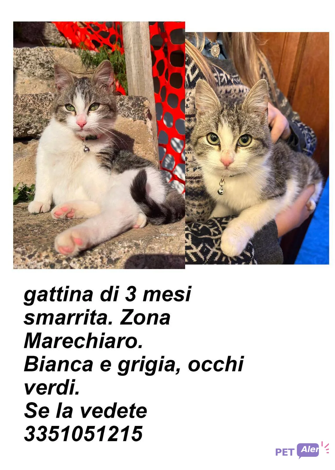 Avviso Gattina
