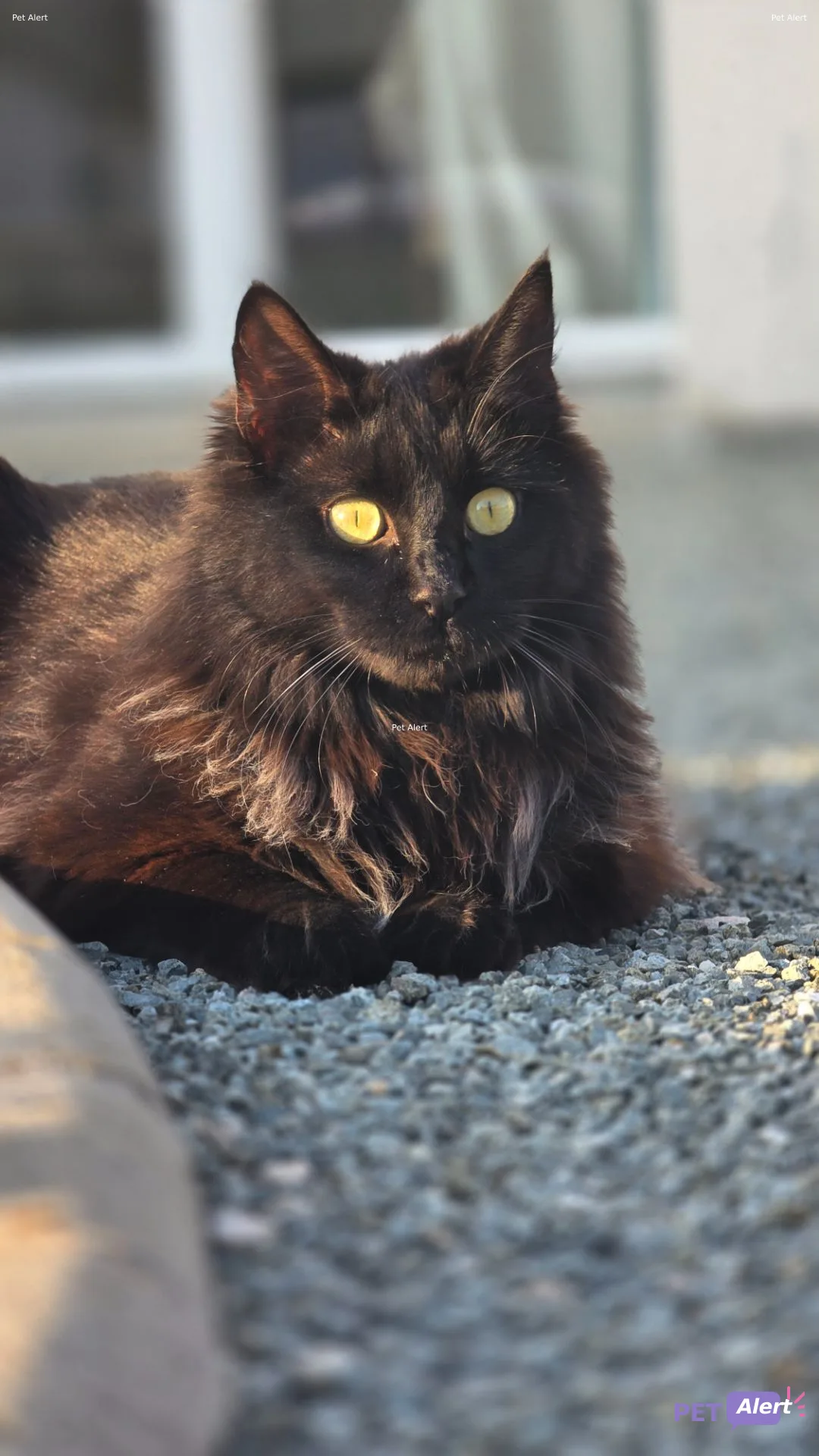 Salem