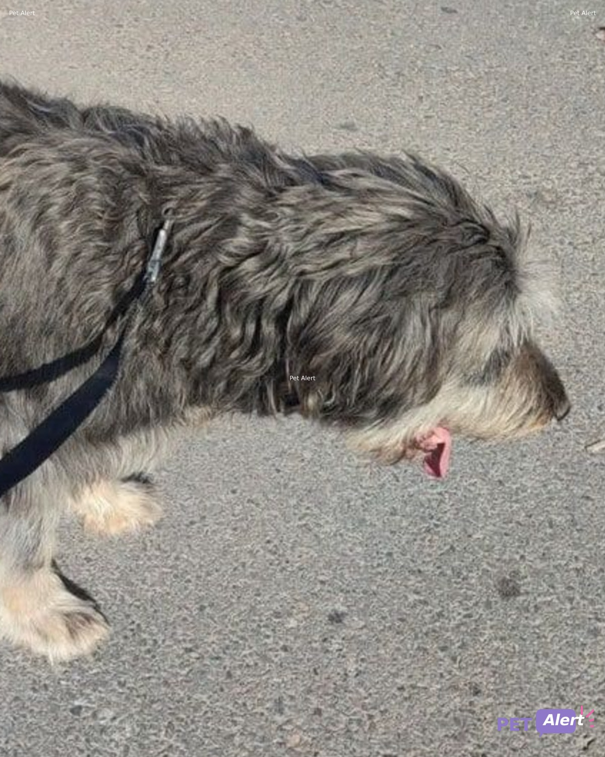 Foto de Nombre desconocido