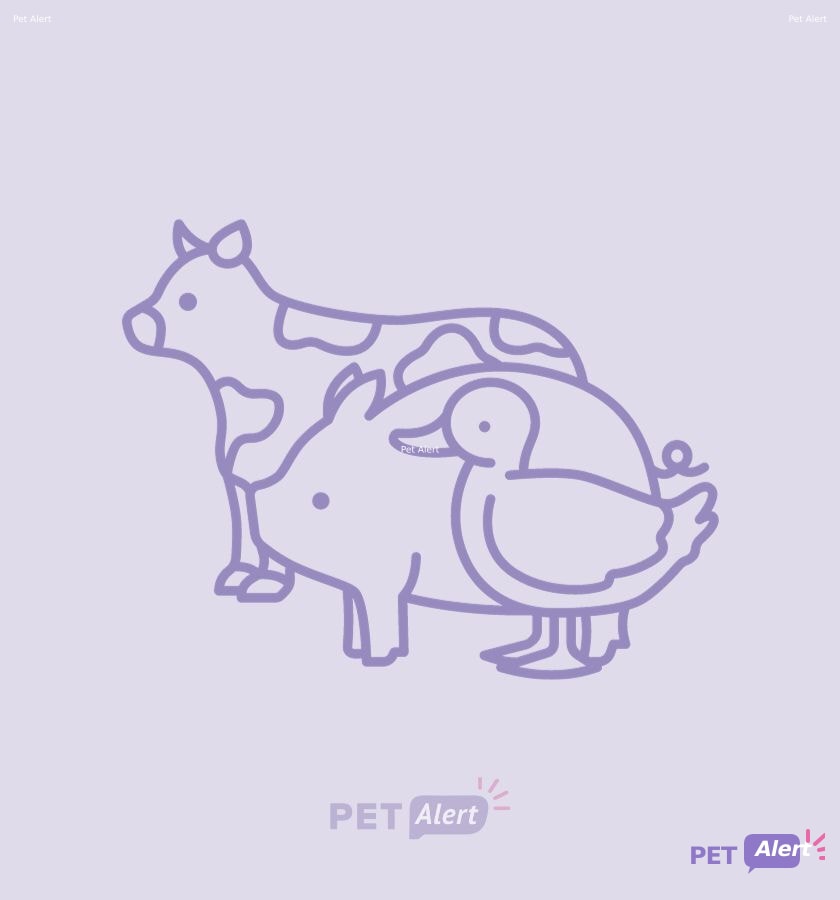 Photo de Animal aperçu