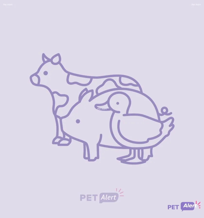 Alerte Pet Alert