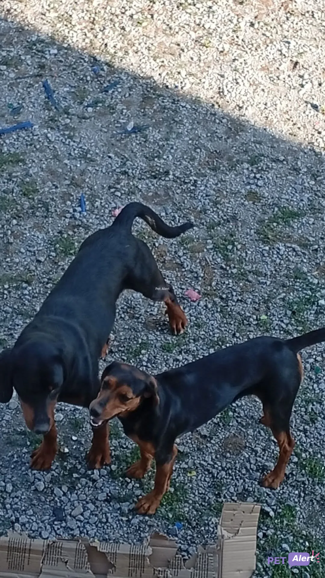 Princesse et volkano