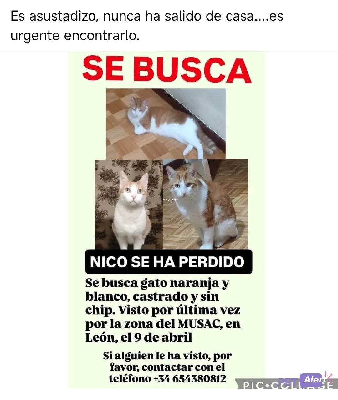 Alerta NICO
