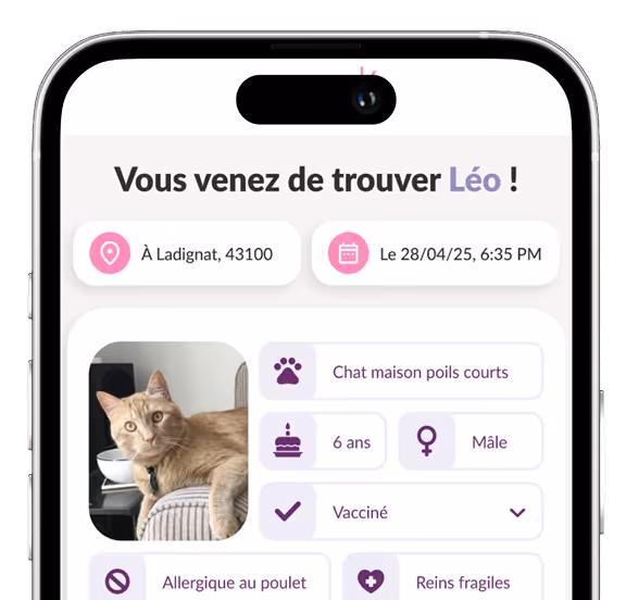 Notification Pet Alert ID après scan du médaillon
