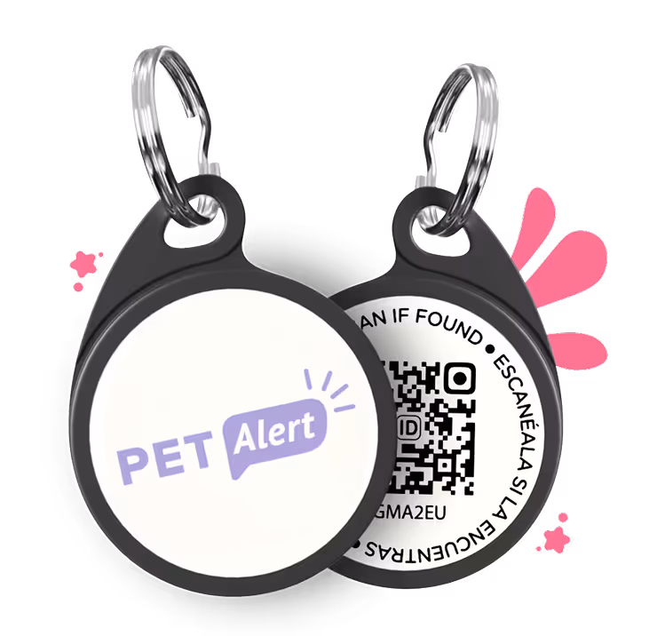 Chien portant un médaillon Pet Alert ID au collier